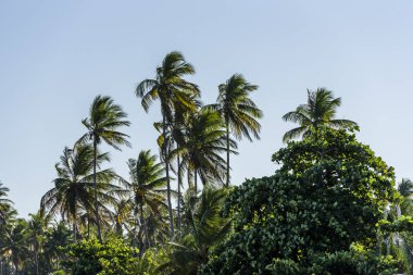 Garapu Beach, Morro de çok Paulo