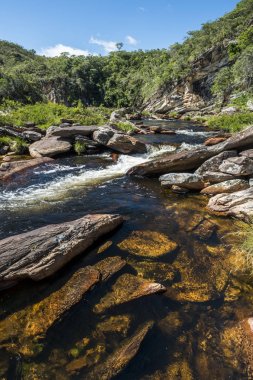 Cipo Nehri cerrado görüntülemek
