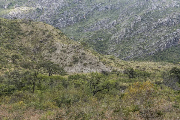 Tipik cerrado peyzaj Bocaina Vadisi