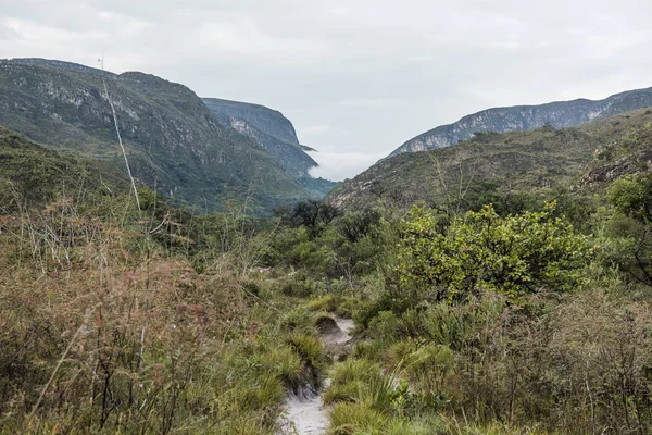 Tipik cerrado peyzaj Bocaina Vadisi
