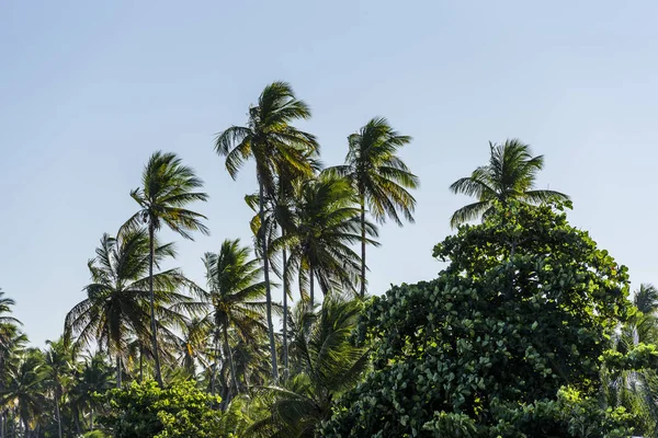 Beach of Garapu, Morro de So Paulo — Stock Photo, Image