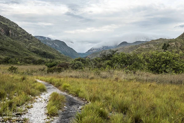 Tipik cerrado peyzaj Bocaina Vadisi