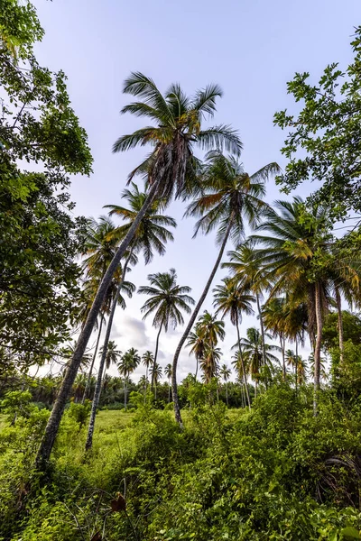 Morro de Sao Paulu na Tinhar ostrově — Stock fotografie