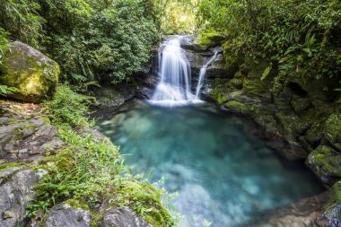 Kristal berraklığında su ile güzel Atlantik Rainforest Nehri