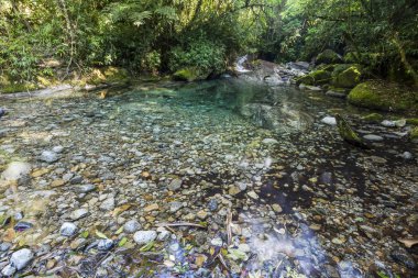 Atlantik Rainforest nehir mavi Havuzu