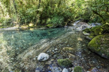 Atlantik Rainforest nehir mavi Havuzu
