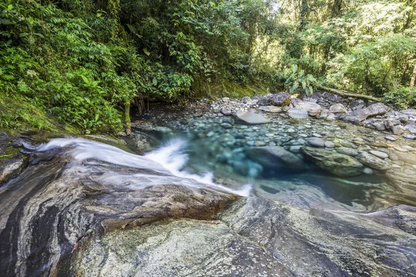 Vackra Atlantregnskogen floden med kristallklart vatten — Stockfoto