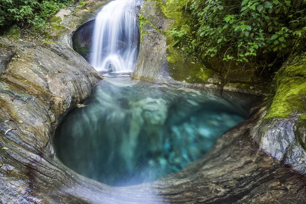 Bellissimo fiume foresta pluviale atlantica con acqua cristallina — Foto Stock