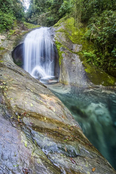Hermoso río de la selva atlántica con aguas cristalinas —  Fotos de Stock