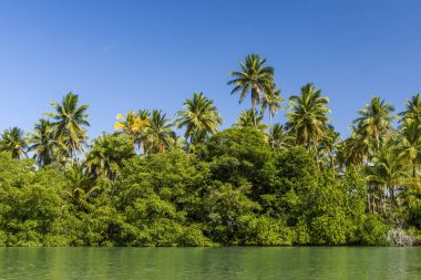 Ponta dos Castelhanos, Ilha de Boipeba, Bahia, Brezilya