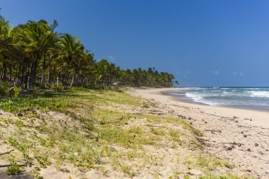 Taipu de Fora beach, Brazil