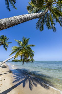 Ponta dos Castelhanos, Ilha de Boipeba, Bahia, Brezilya