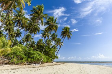 Morer beach, Brezilya