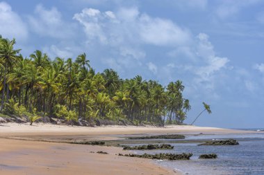 Taipu de Fora beach, Brazil