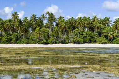 Doğal havuzları, Morer, Brezilya