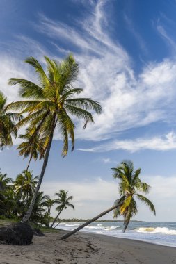 Taipu de Fora beach, Brazil