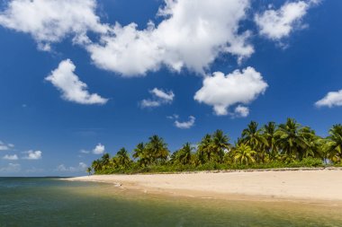 Tekne Turu Baa de Camamu içinde