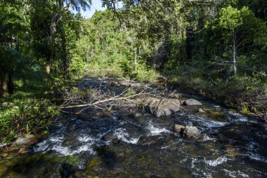 Tijuipe şelale, Brezilya