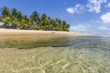 Taipu de Fora beach, Brazil