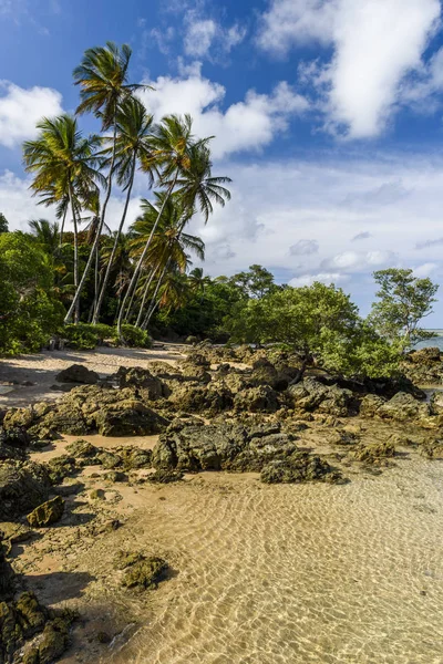 Playa Morer, Brasil — Foto de Stock