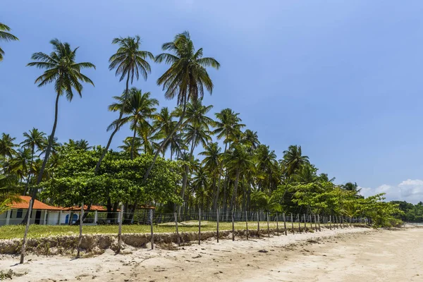 Morer beach, Brazylia — Zdjęcie stockowe