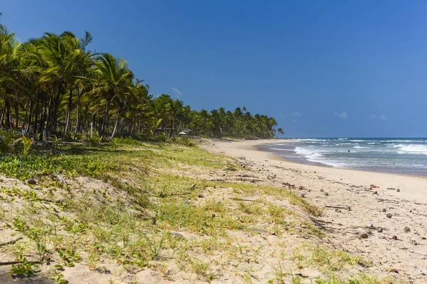 Taipu de Fora beach, Brazil