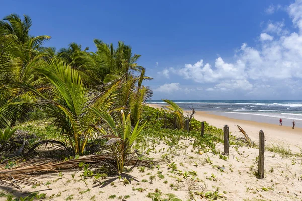 Playa de Taipu de Fora, Brasil — Foto de Stock