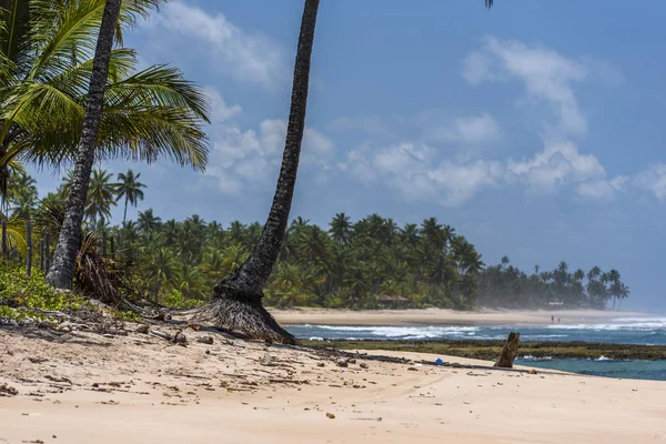 Praia de Bombaim em Barra Grande — Fotografia de Stock