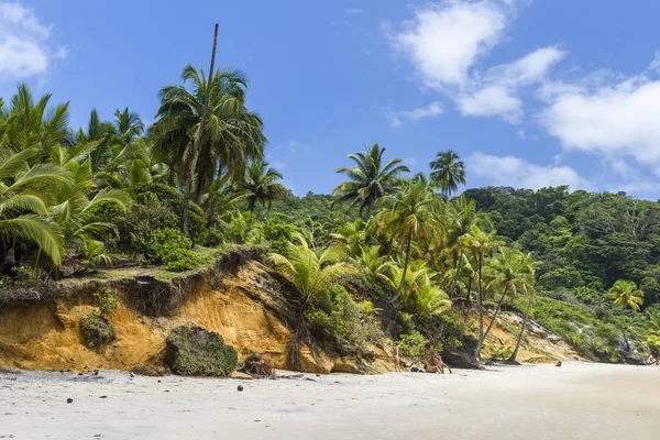 Engenhoca Beach, Brazil — Stock Photo, Image