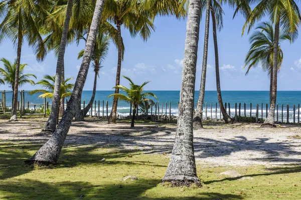 Playa de Bombay en Barra Grande — Foto de Stock