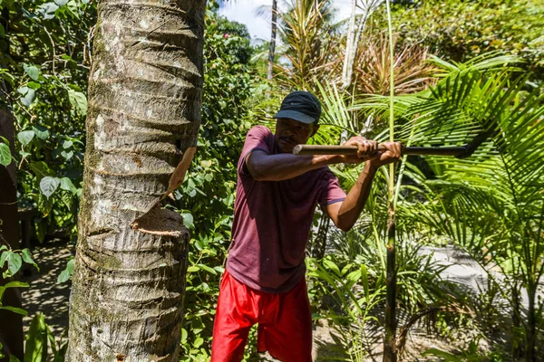 Morer Village, Ilha de Boipeba