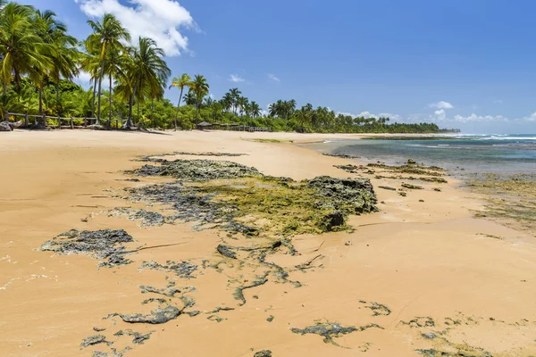 Bombay Beach Barra Grande