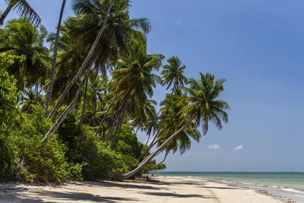 Morer beach, Brasil — Fotografia de Stock