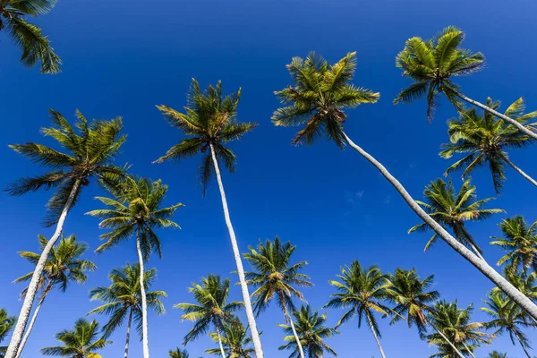 Trail to Bainema Beach — Stock Photo, Image