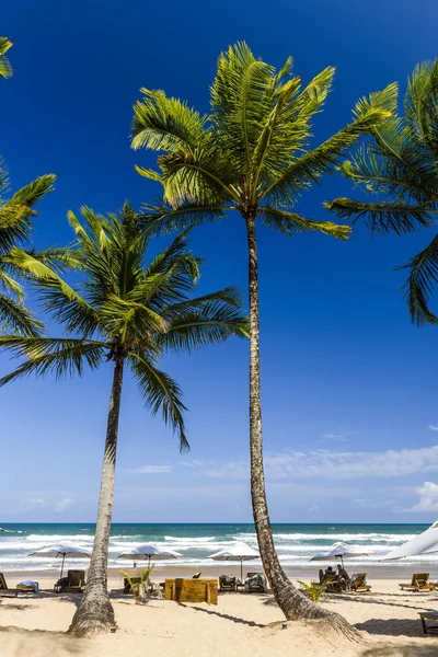 Playa de Taipu de Fora, Brasil — Foto de Stock