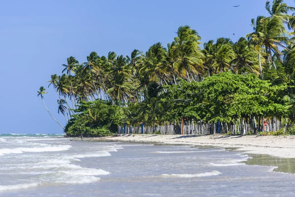 Praia de Bainema, Brasil — Fotografia de Stock