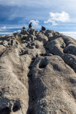 Sunak Rock Itatiaia Milli Parkı'nda görünümünden