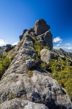 Morro do Couto Itatiaia Milli Parkı'nda trekking
