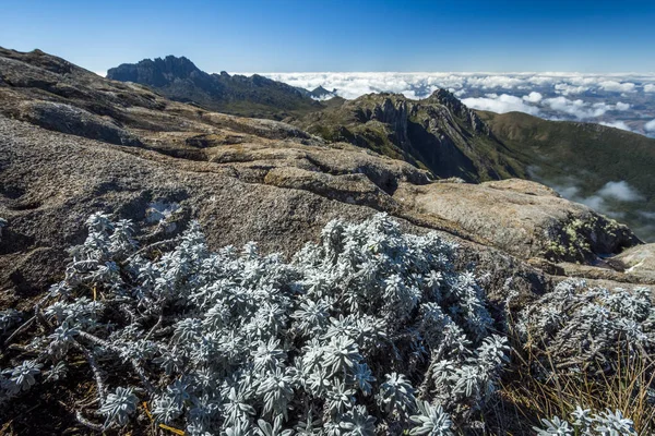 Vista durante il trekking sulle montagne del Parco Nazionale dell'Itatiaia , — Foto Stock