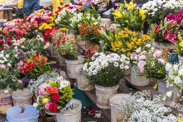Fleurs ornementales à vendre sur le marché de rue — Photo
