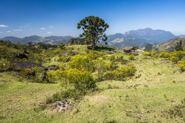 Tres Picos State Park, dağlarda yürüyüş