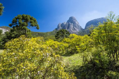 Tres Picos State Park, dağlarda yürüyüş
