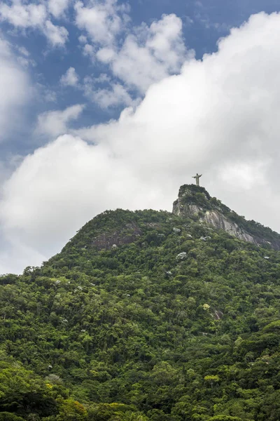コルコバード フロレスタ ティジュカ リオデジャネイロ ブラジルの上にあるクリスト レデンター像 — ストック写真