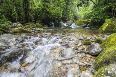 Yağmur ormanları Nehri'nin güzel temiz su