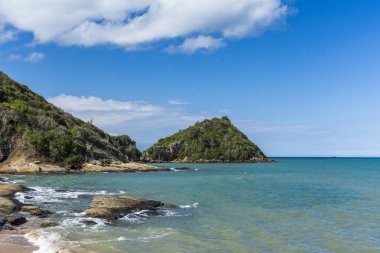 Restinga bitki örtüsü ile tropikal plaj