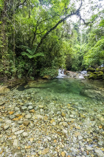 Hermosa agua clara del río Rainforest — Foto de Stock