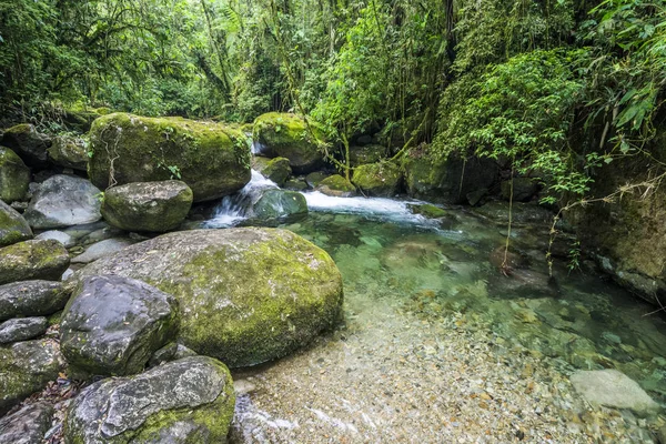 Красиві чистою водою тропічних лісах річку — стокове фото