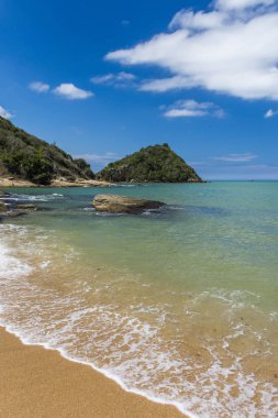 Restinga bitki örtüsü ile tropikal plaj