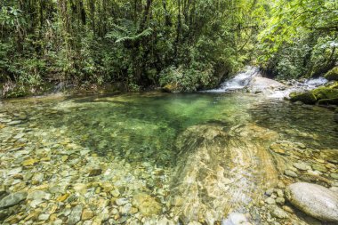 Yağmur ormanları Nehri'nin güzel temiz su