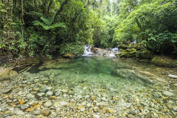 Hermosa agua clara del río Rainforest — Foto de Stock